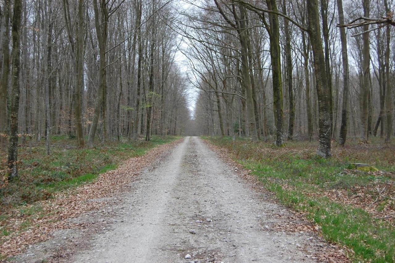 Le Petit Gite De La Varenne Saint-Hellier Eksteriør bilde